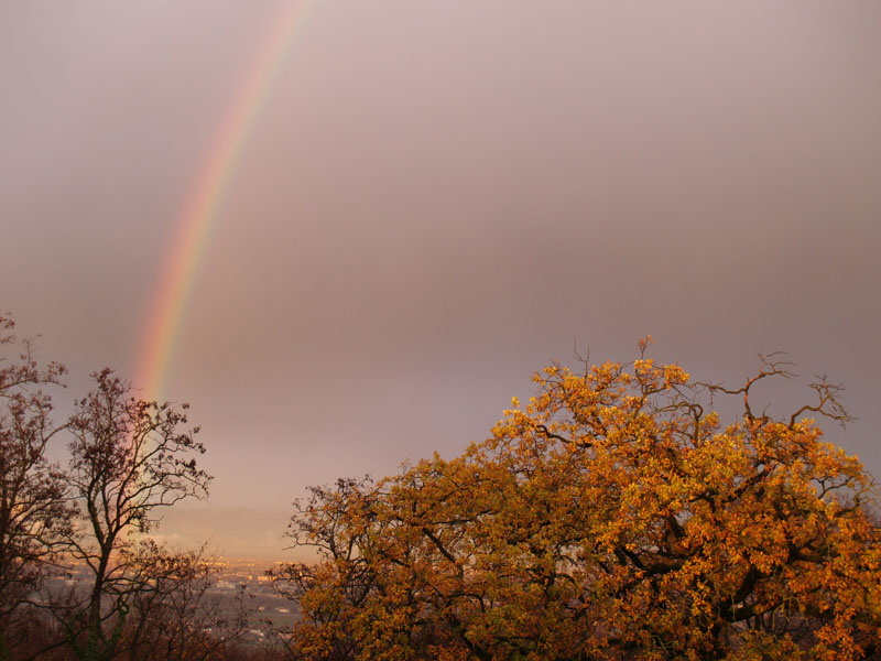 Arcobaleno - 8 dicembre 2009