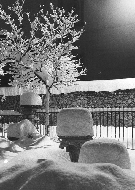 Vicenza (Campedello) - sera del 14 gennaio 1985