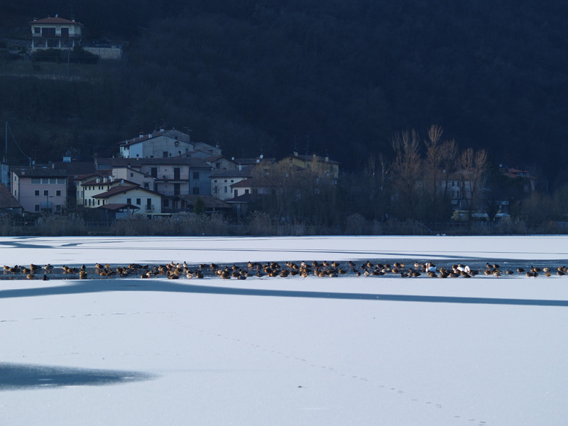 Lago di Fimon - 6 febbraio 2012