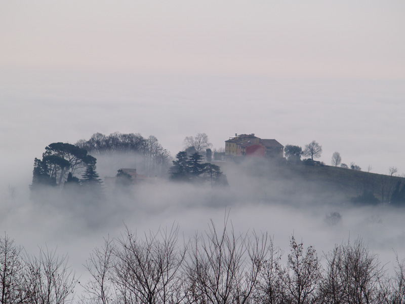 Nebbia - 23 gennaio 2009